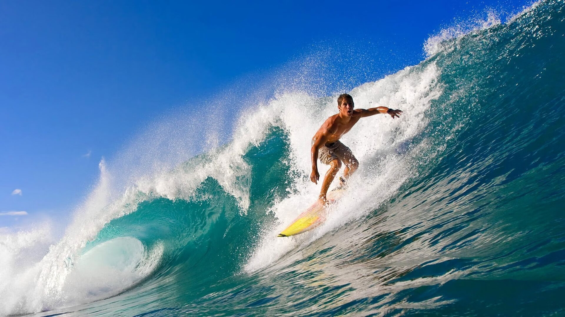 开云体育登陆入口-LCS积分榜排名大洗牌，lck积分榜排名最新